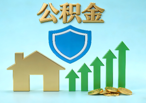 河东当前住房公积金提取条件分类指南与政策趋势